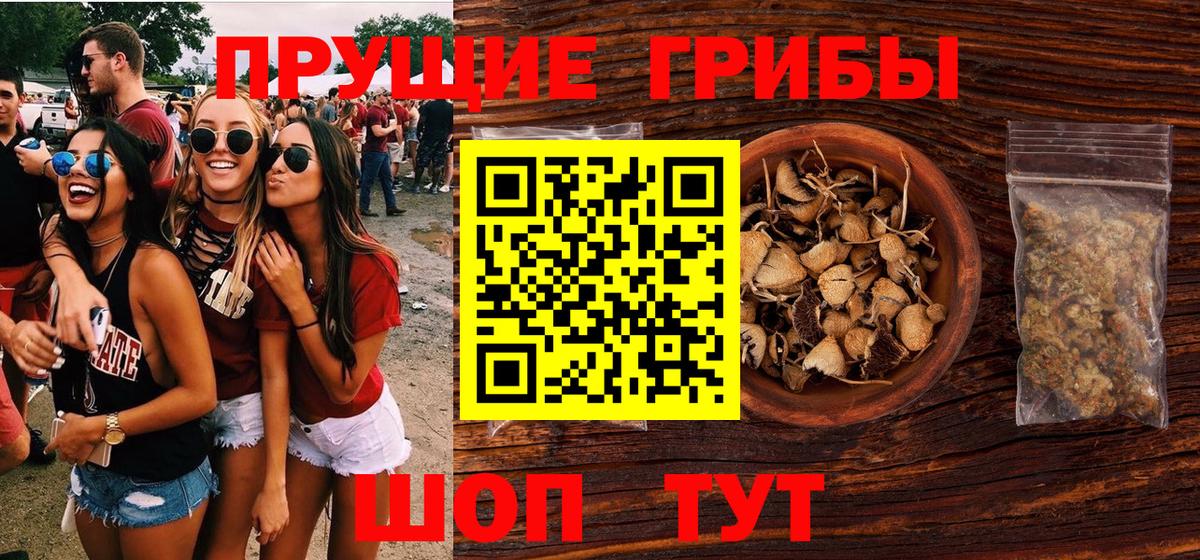 Псилоцибиновые грибы Psilocybine cubensis Кыштым
